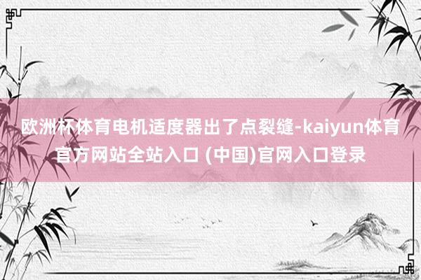 欧洲杯体育电机适度器出了点裂缝-kaiyun体育官方网站全站入口 (中国)官网入口登录