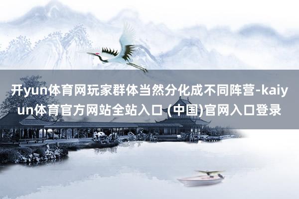 开yun体育网玩家群体当然分化成不同阵营-kaiyun体育官方网站全站入口 (中国)官网入口登录
