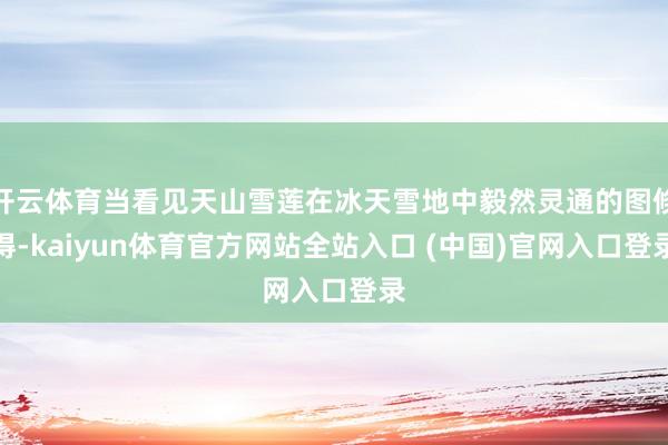开云体育当看见天山雪莲在冰天雪地中毅然灵通的图倏得-kaiyun体育官方网站全站入口 (中国)官网入口登录