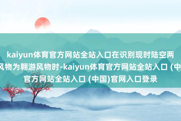 kaiyun体育官方网站全站入口在识别现时陆空两栖交通器用驱动风物为翱游风物时-kaiyun体育官方网站全站入口 (中国)官网入口登录