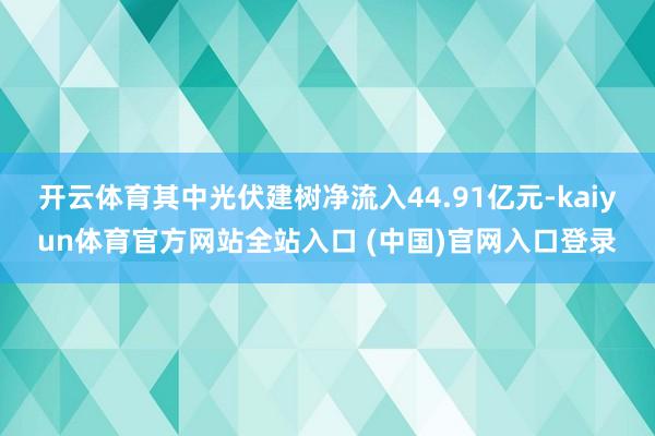 开云体育其中光伏建树净流入44.91亿元-kaiyun体育官方网站全站入口 (中国)官网入口登录