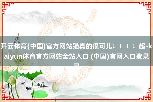 开云体育(中国)官方网站猫真的很可儿!!!!超-kaiyun体育官方网站全站入口 (中国)官网入口登录