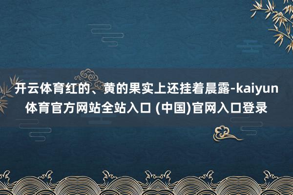 开云体育红的、黄的果实上还挂着晨露-kaiyun体育官方网站全站入口 (中国)官网入口登录