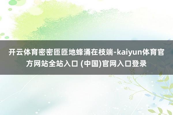 开云体育密密匝匝地蜂涌在枝端-kaiyun体育官方网站全站入口 (中国)官网入口登录