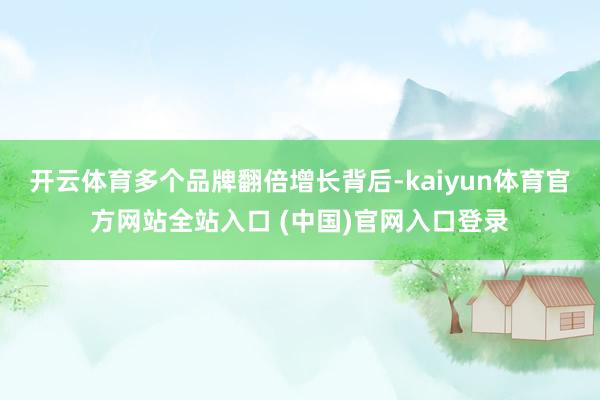开云体育多个品牌翻倍增长背后-kaiyun体育官方网站全站入口 (中国)官网入口登录