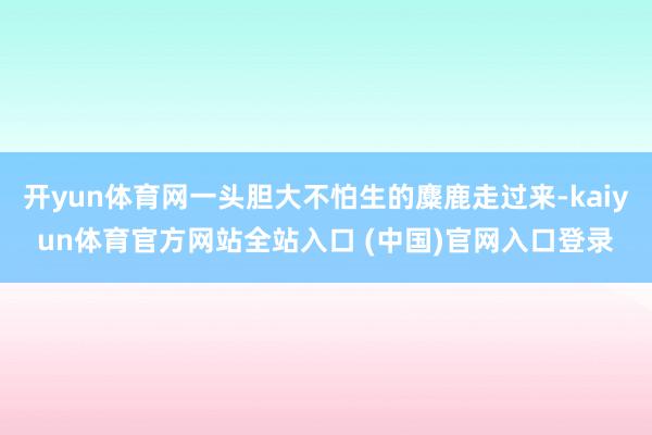 开yun体育网一头胆大不怕生的麋鹿走过来-kaiyun体育官方网站全站入口 (中国)官网入口登录
