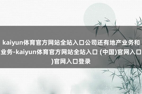 kaiyun体育官方网站全站入口公司还有地产业务和投资业务-kaiyun体育官方网站全站入口 (中国)官网入口登录