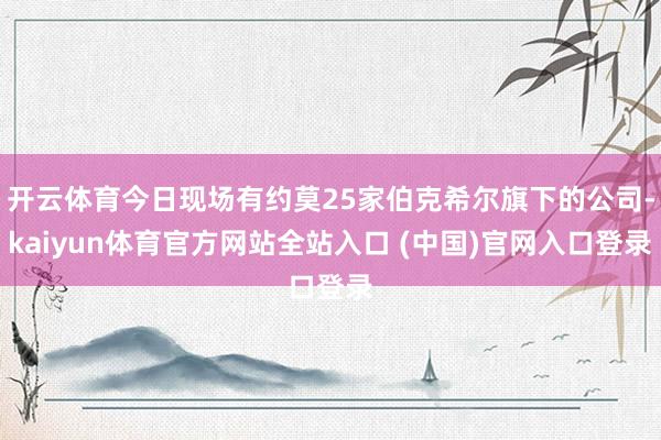 开云体育今日现场有约莫25家伯克希尔旗下的公司-kaiyun体育官方网站全站入口 (中国)官网入口登录